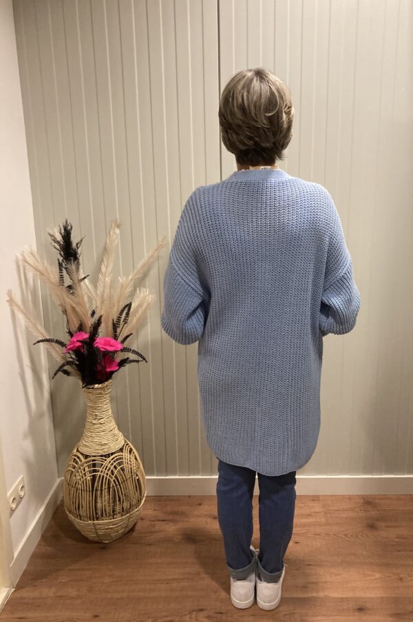 Trendy Mode Tholen - Vest Lady Short Licht Blauw