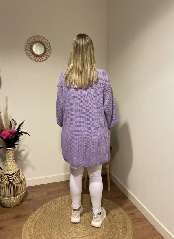 Trendy Mode Tholen - Vest Lady Short Lila