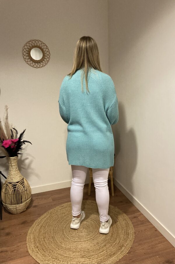 Trendy Mode Tholen - Vest Lady Short Mint Groen