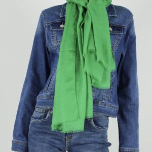 Trendy Mode Tholen - Sjaal Bibi Cucci Groen
