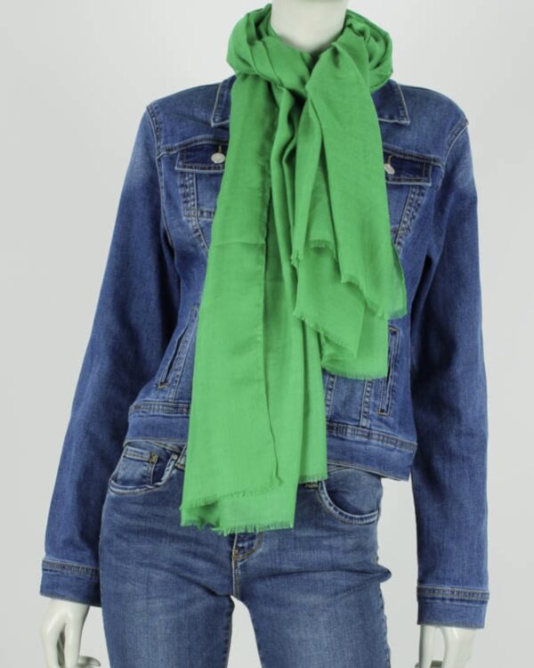 Trendy Mode Tholen - Sjaal Bibi Cucci Groen