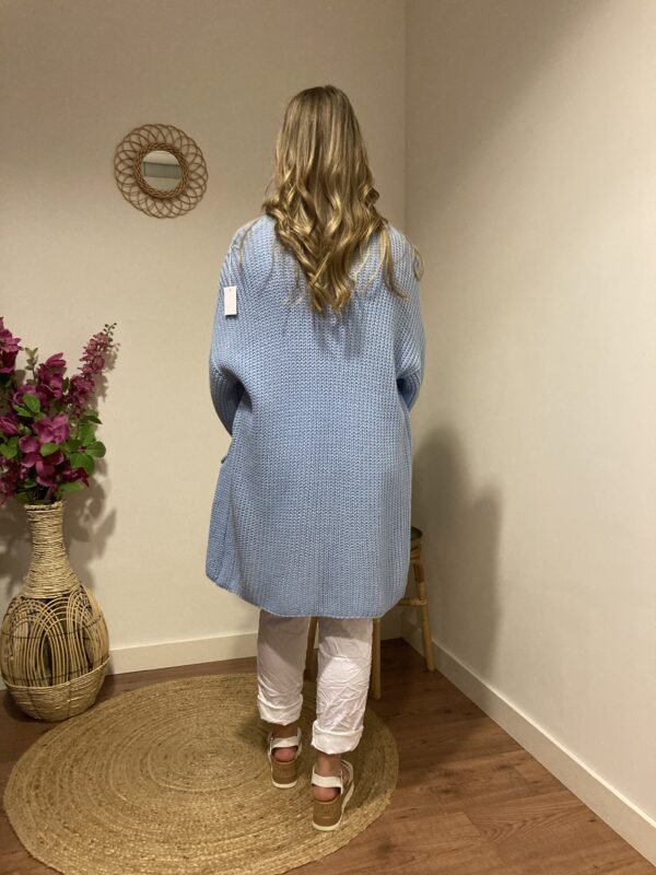 Trendy Mode Tholen - Vest Lady Short Licht Blauw